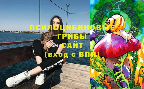 MDMA Premium VHQ Михайловка