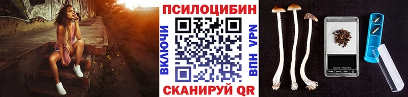Галлюциногенные грибы Psilocybine cubensis  где продают наркотики  Заозёрный 